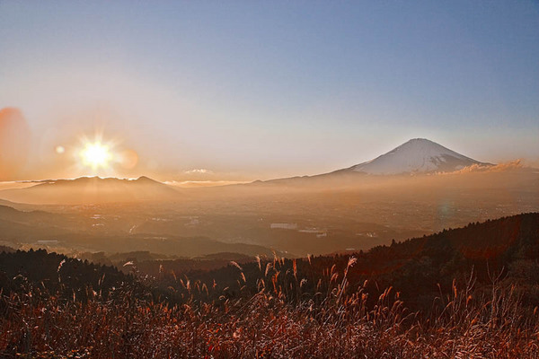 初冬の足柄の富士 08122005.jpg