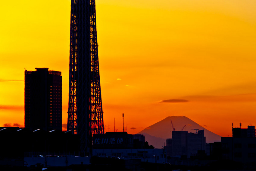 富士山と東京スカイツリー 11121038.jpg