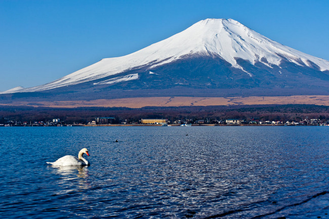 山中湖周の富士 09022228.jpg