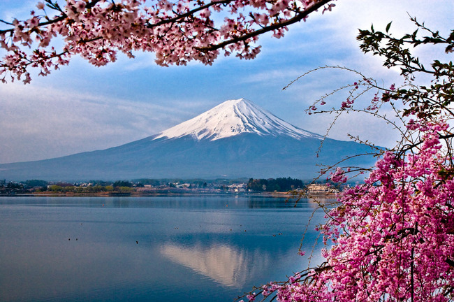 河口湖の富士と桜 09041918.jpg